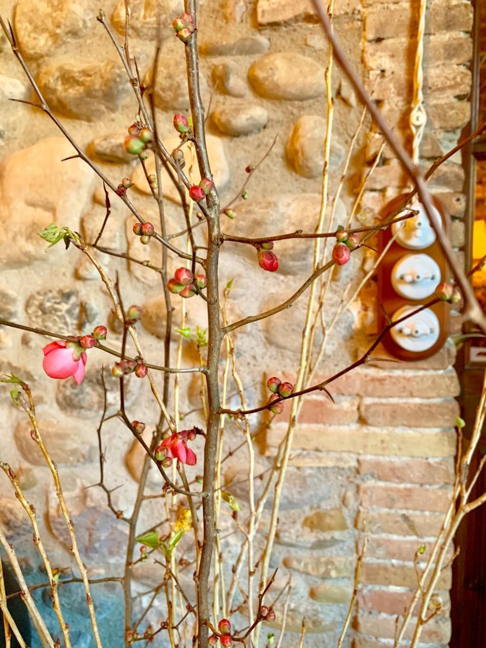 Hotel Masia La Palma Espinavesa エクステリア 写真